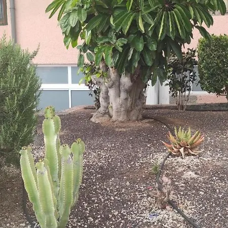 Apartment Acapulco Paradise Playa Fanabe