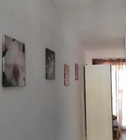 Acapulco Paradise Appartement *