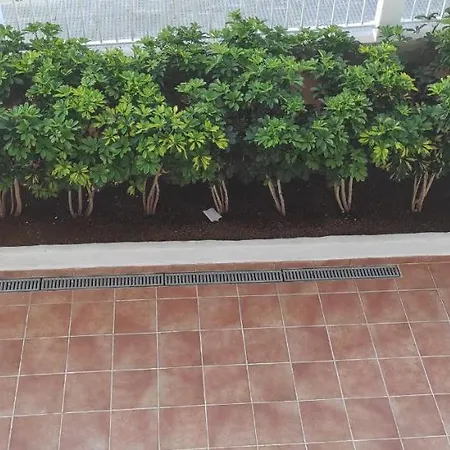 Acapulco Paradise Appartement