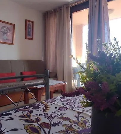 Acapulco Paradise Apartment