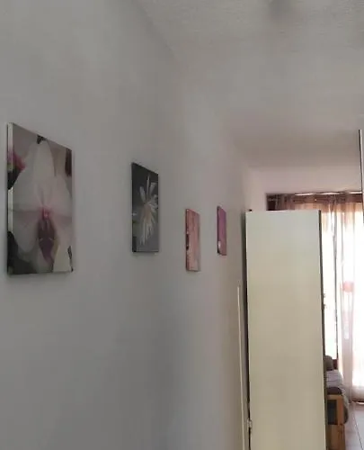 Acapulco Paradise Apartmán *