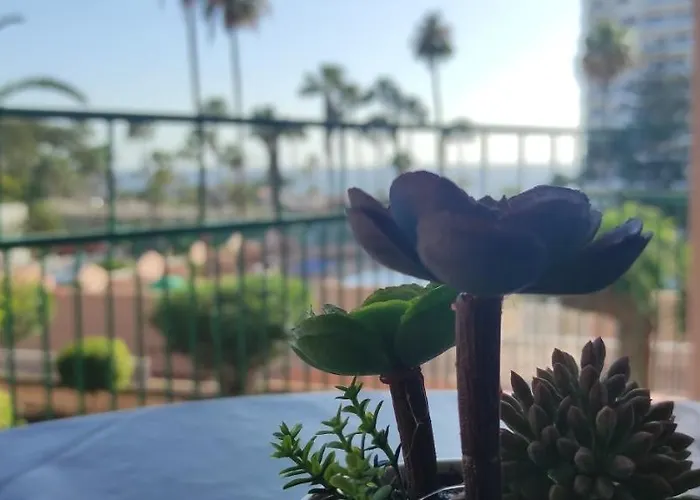 Acapulco Paradise 公寓 *