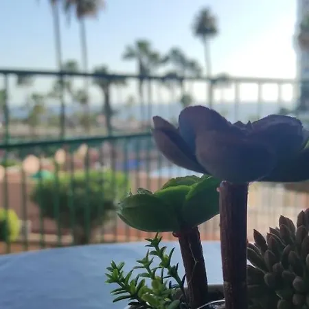 Acapulco Paradise 아파트 *