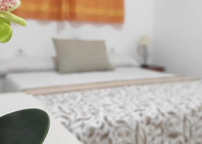 Acapulco Paradise * Playa Feñabe