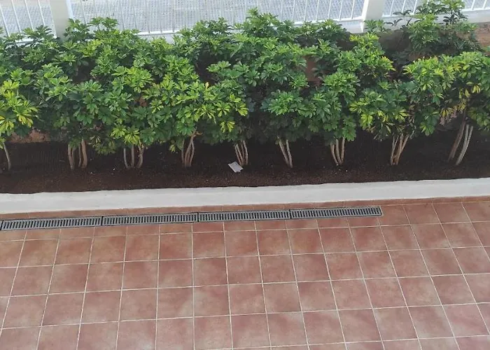 Acapulco Paradise Appartement